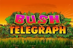 Bush Telegraph Logo