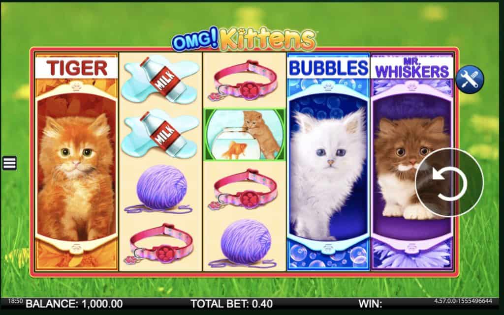 OMG! Kittens Slot Screenshot