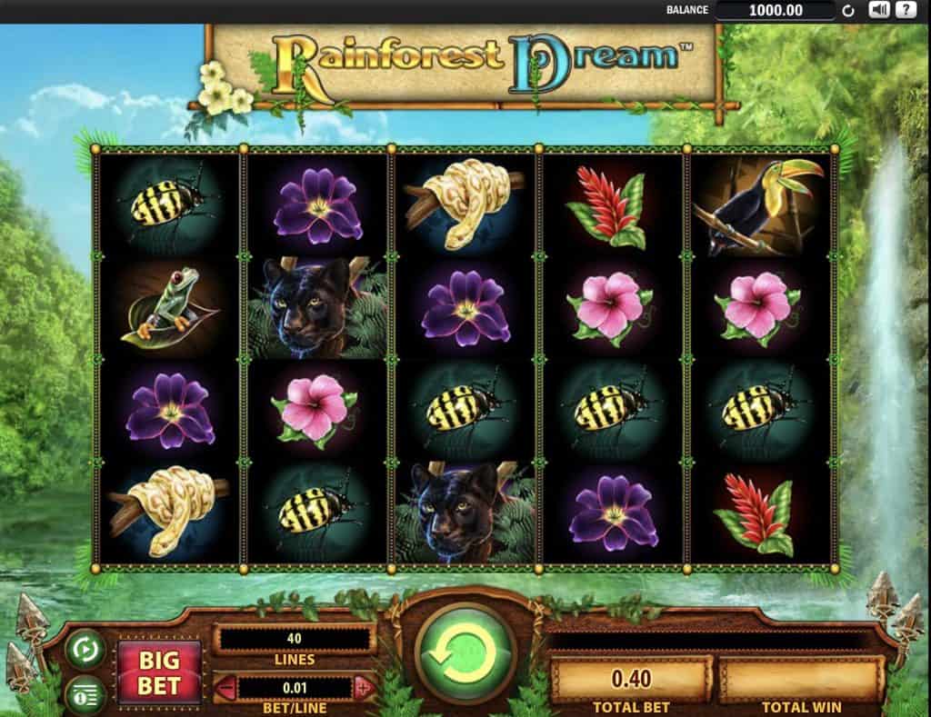 Rainforest Dream Slot Screenshot