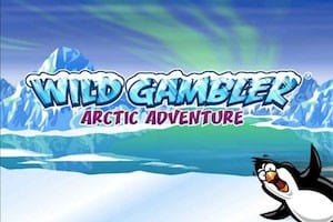 Wild Gambler Arctic Adventure