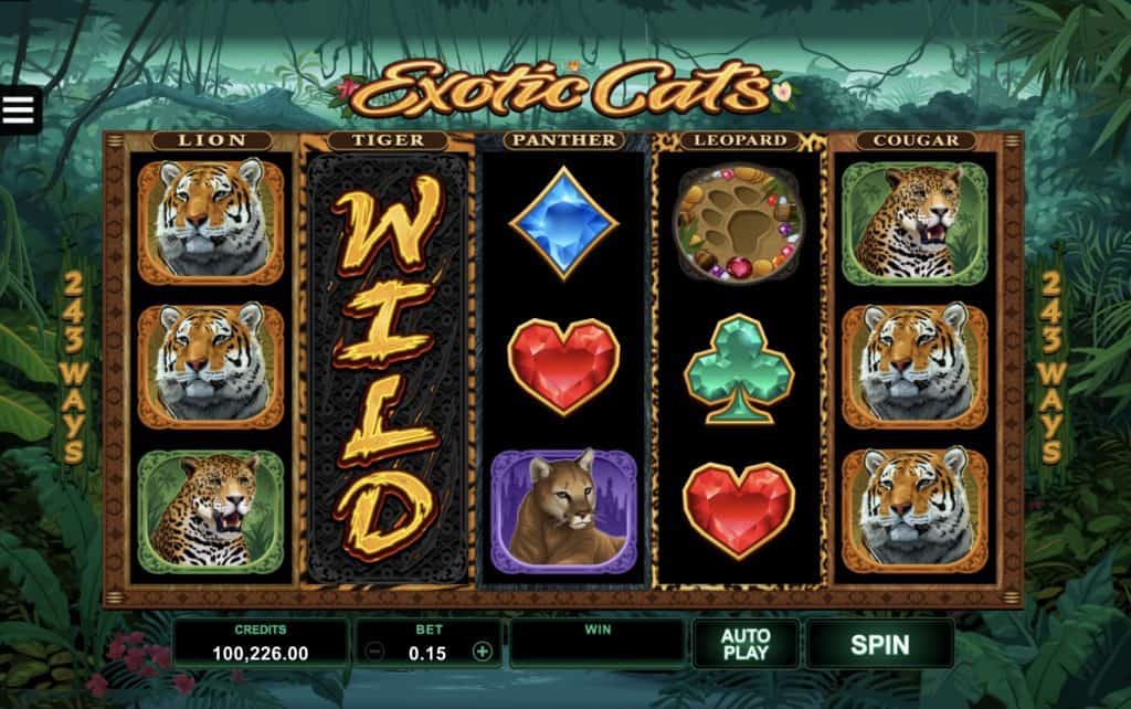 Exotic Cats Slot Screenshot