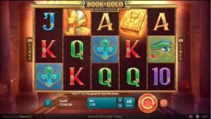 Book of Gold Slot Screenshot