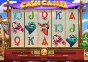 Cash Camel Slot Screenshot