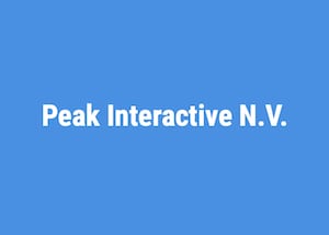 Peak Interactive N.V. Symbolbild