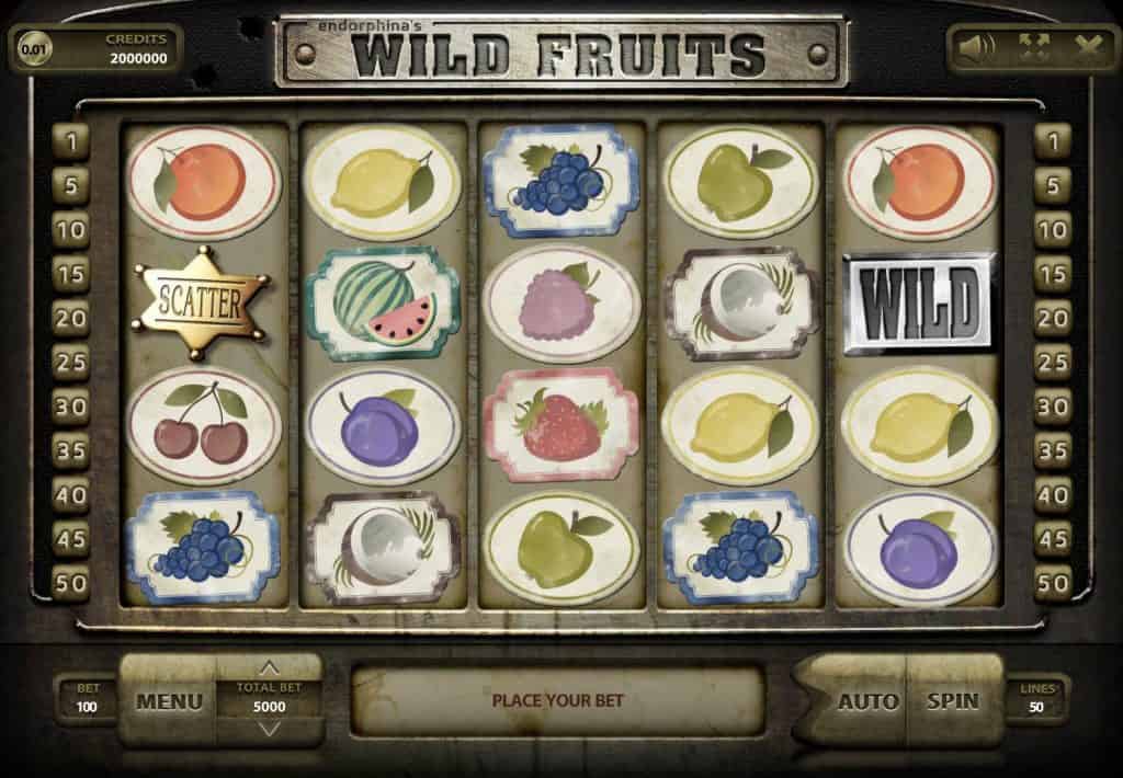Wild Fruits Slot Screenshot