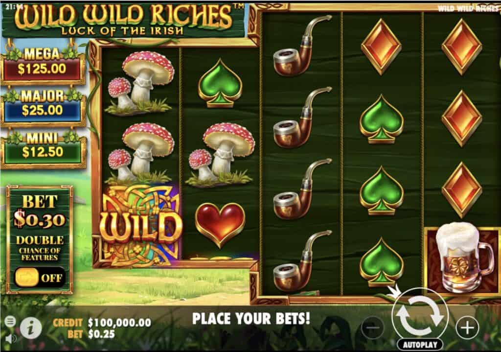 Wild Wild Riches Slot Screenshot