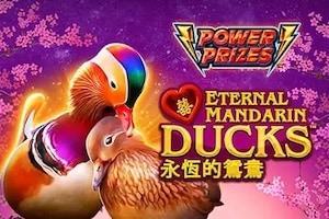 Power Prizes Eternal Mandarin Ducks Logo